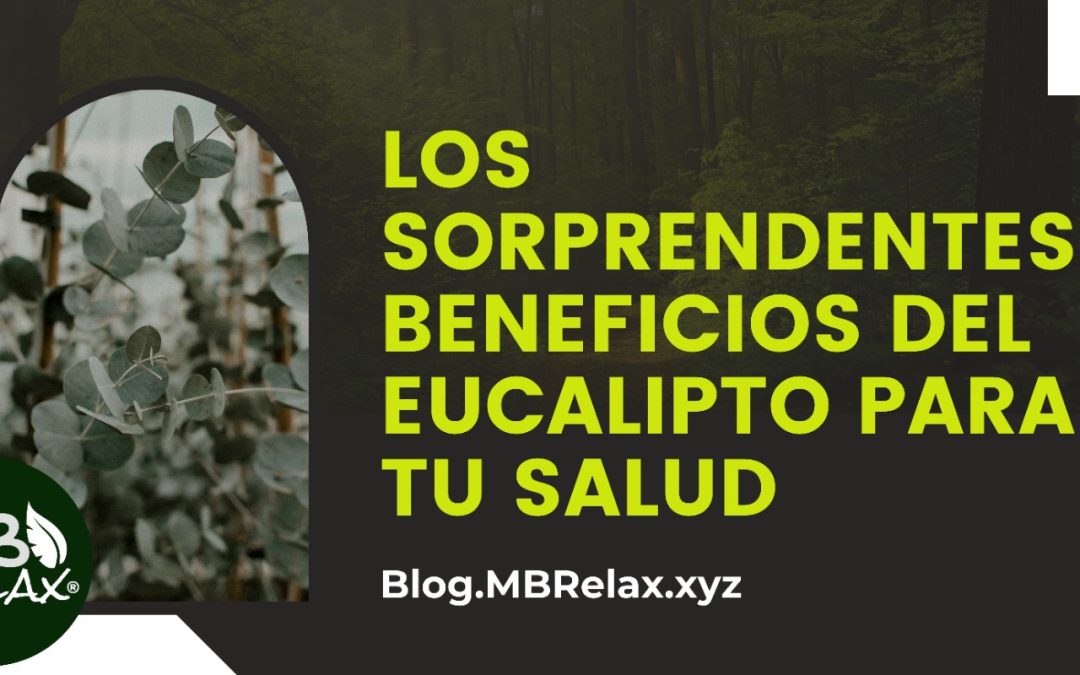 Los Sorprendentes Beneficios del Eucalipto para tu Salud